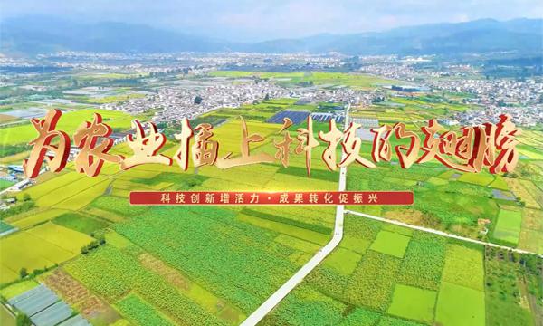 为农业插上科技的翅膀