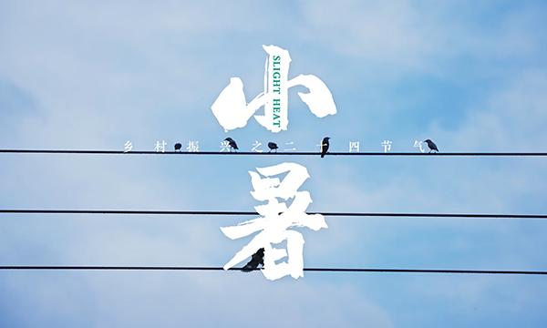 《小暑》二十四节气之乡村振兴短片