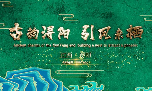 古韵浔阳 引凤来栖